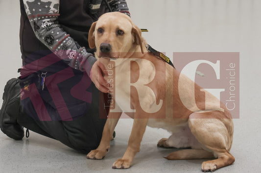 DOG TRUST DENTON JUMPER EVENT (5).JPG
