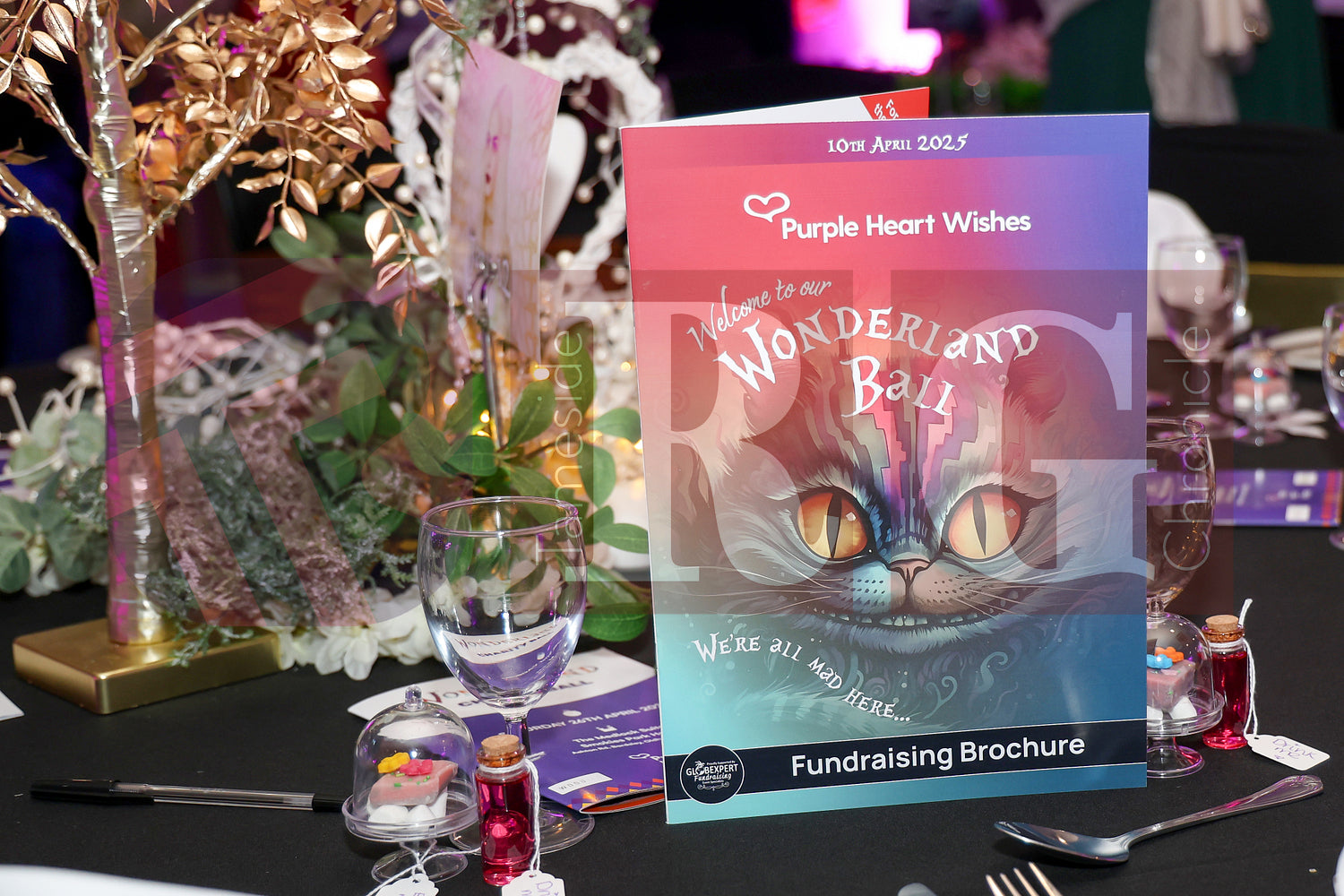 PURPLE HEART WISHES WONDERLAND BALL (52).JPG