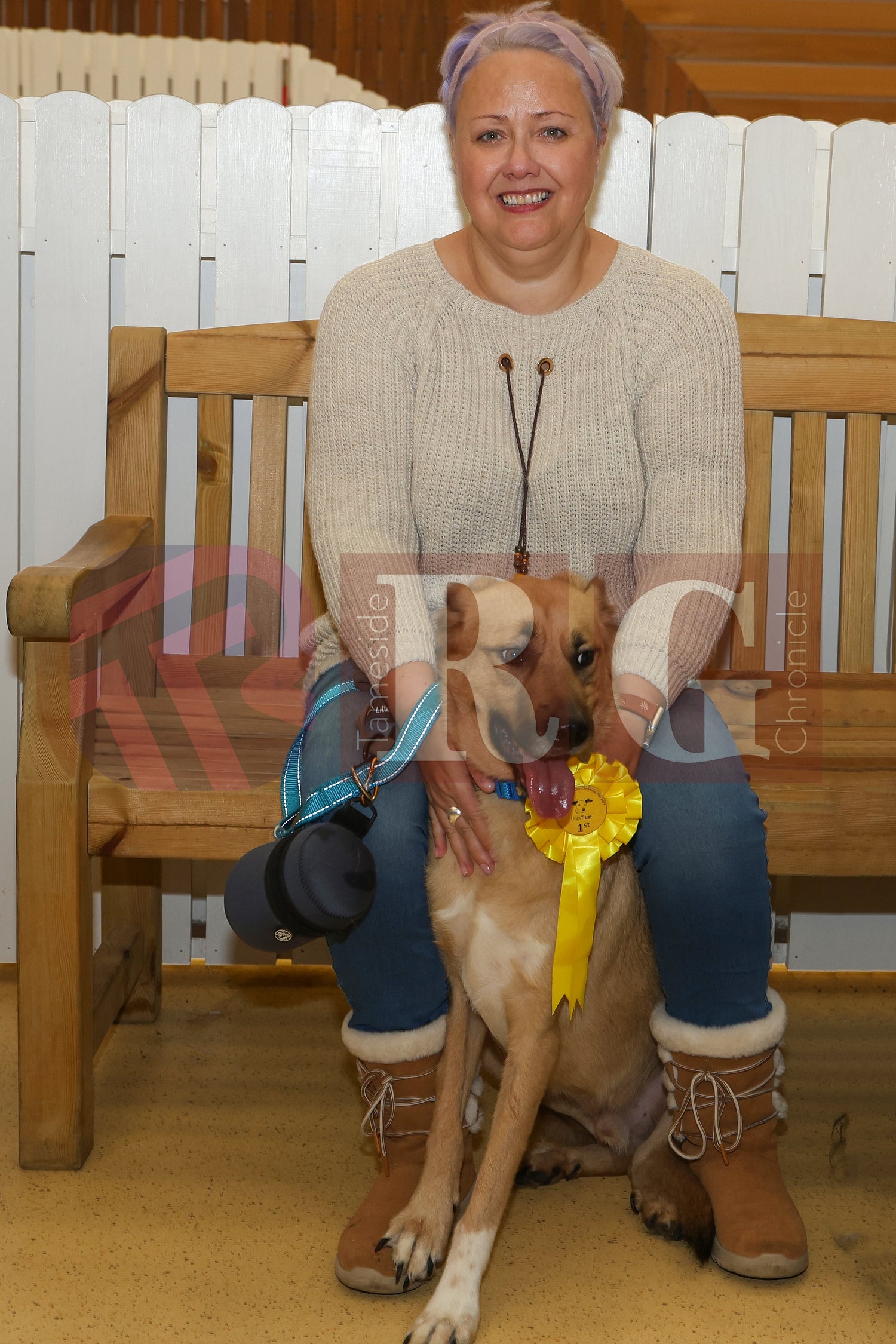 DOG TRUST DENTON XMAS (60).JPG
