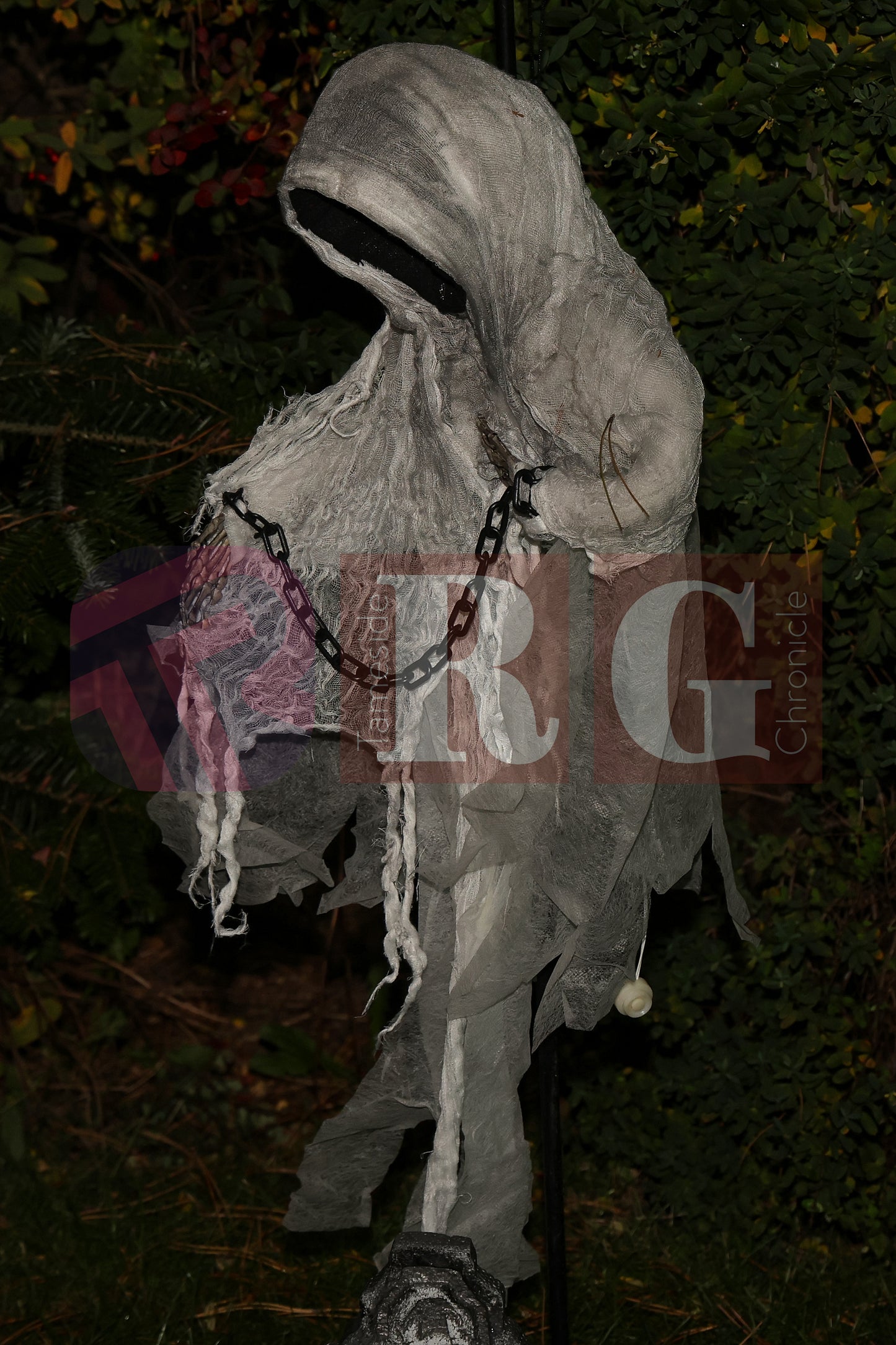 PIRATES OF THE HALLOWE'EN' HADFIELD (11).JPG