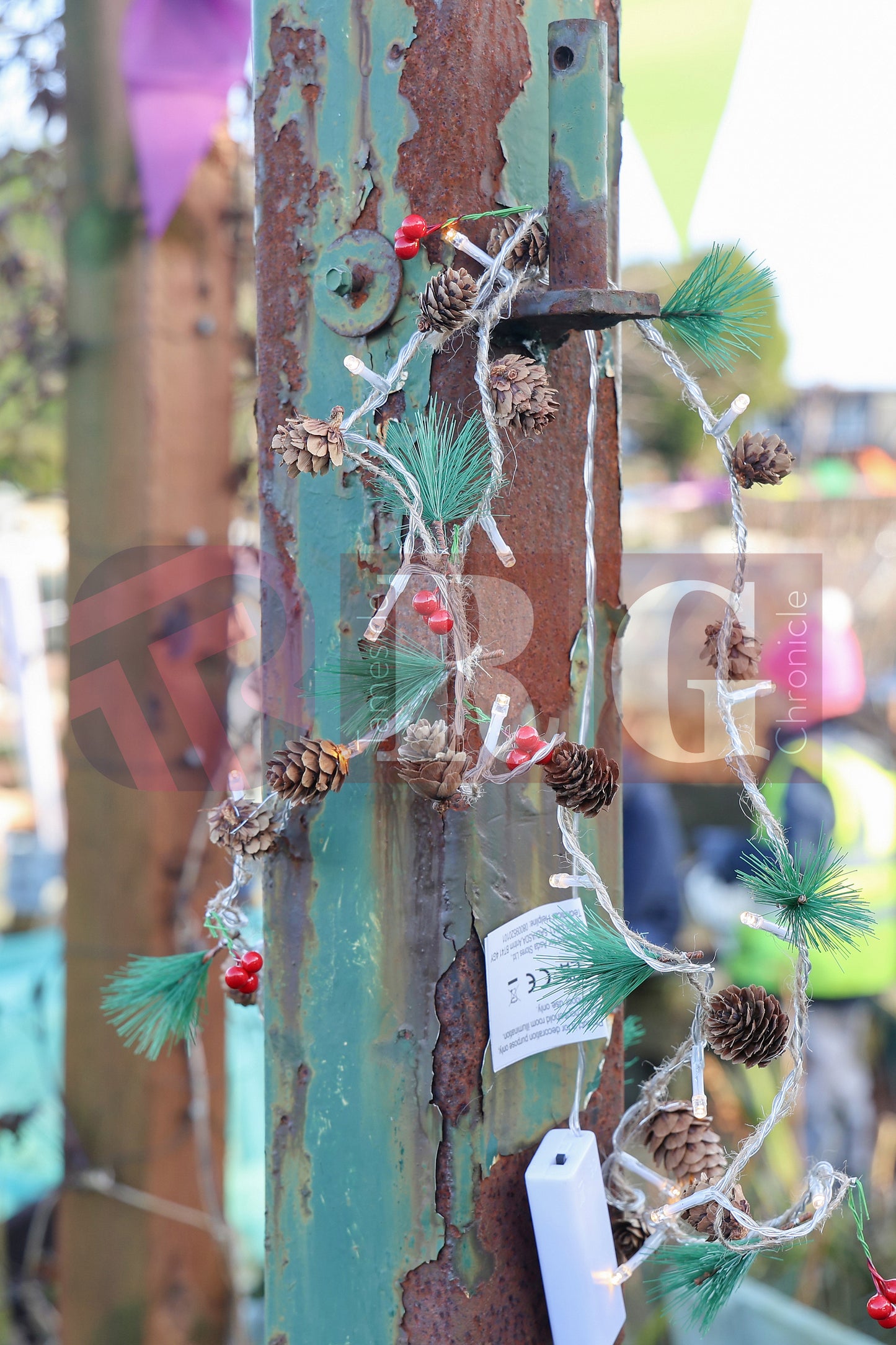 LEAP COMMUNITY GREEN WINTER WARMER 2024 (16).JPG