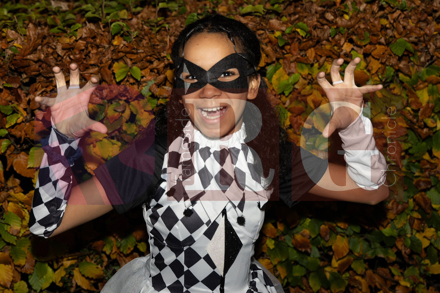 WATERLOO PARK  ASHTON HALLOWEEN  (12).JPG