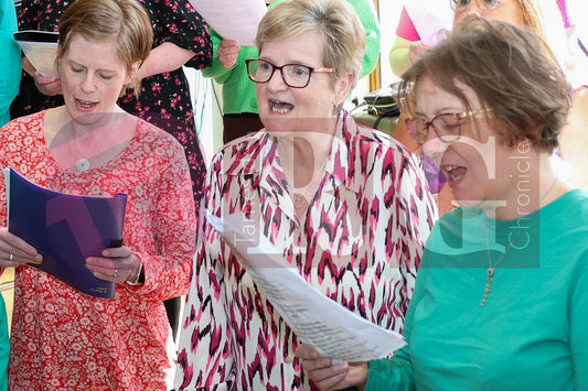 BRIDGE GOT TALENT AUDITIONS 2025 (13).JPG