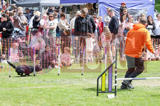 STALYBRIDGE SPRING SHOW (88).JPG