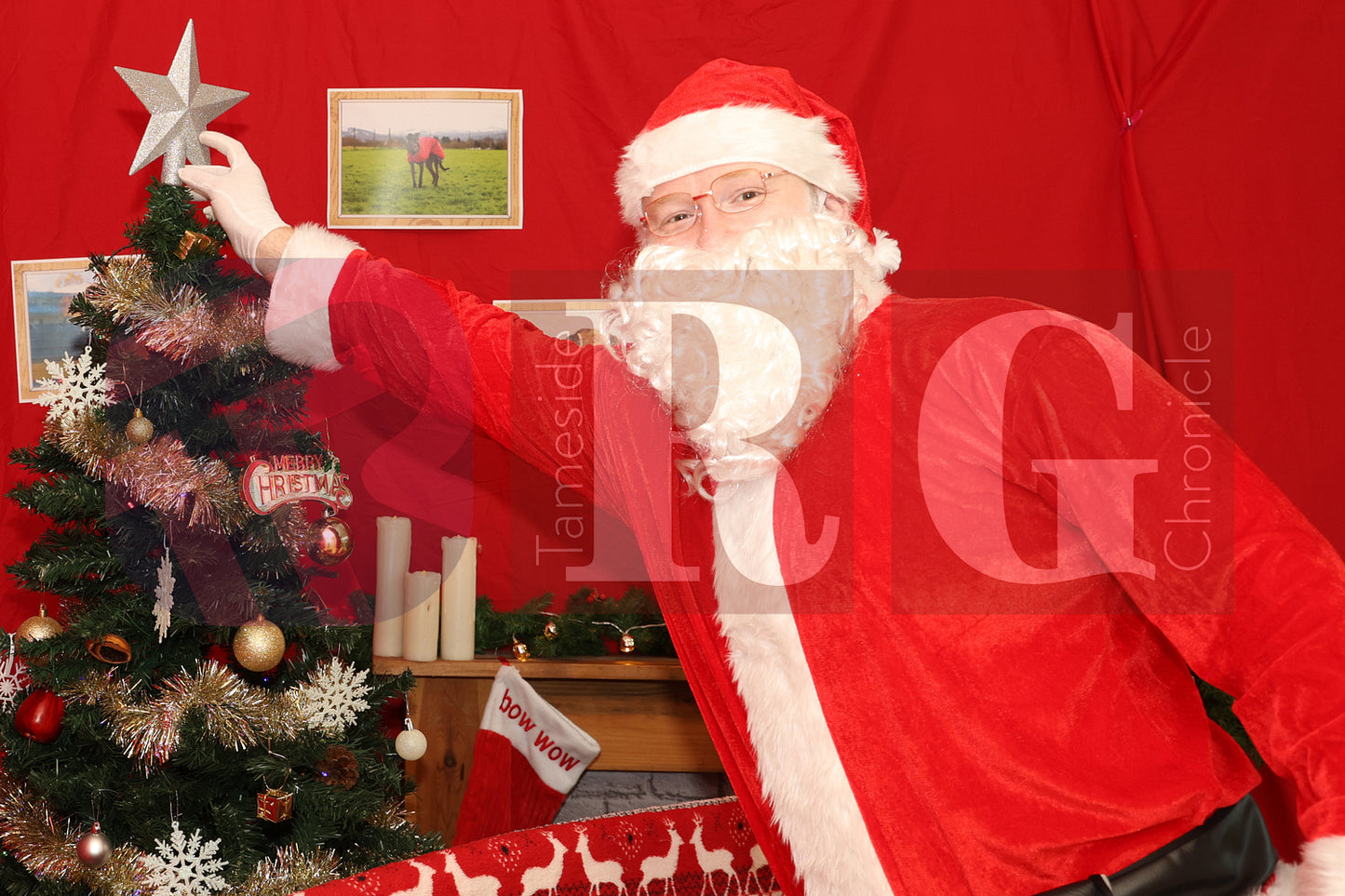 DOG TRUST DENTON XMAS (26).JPG