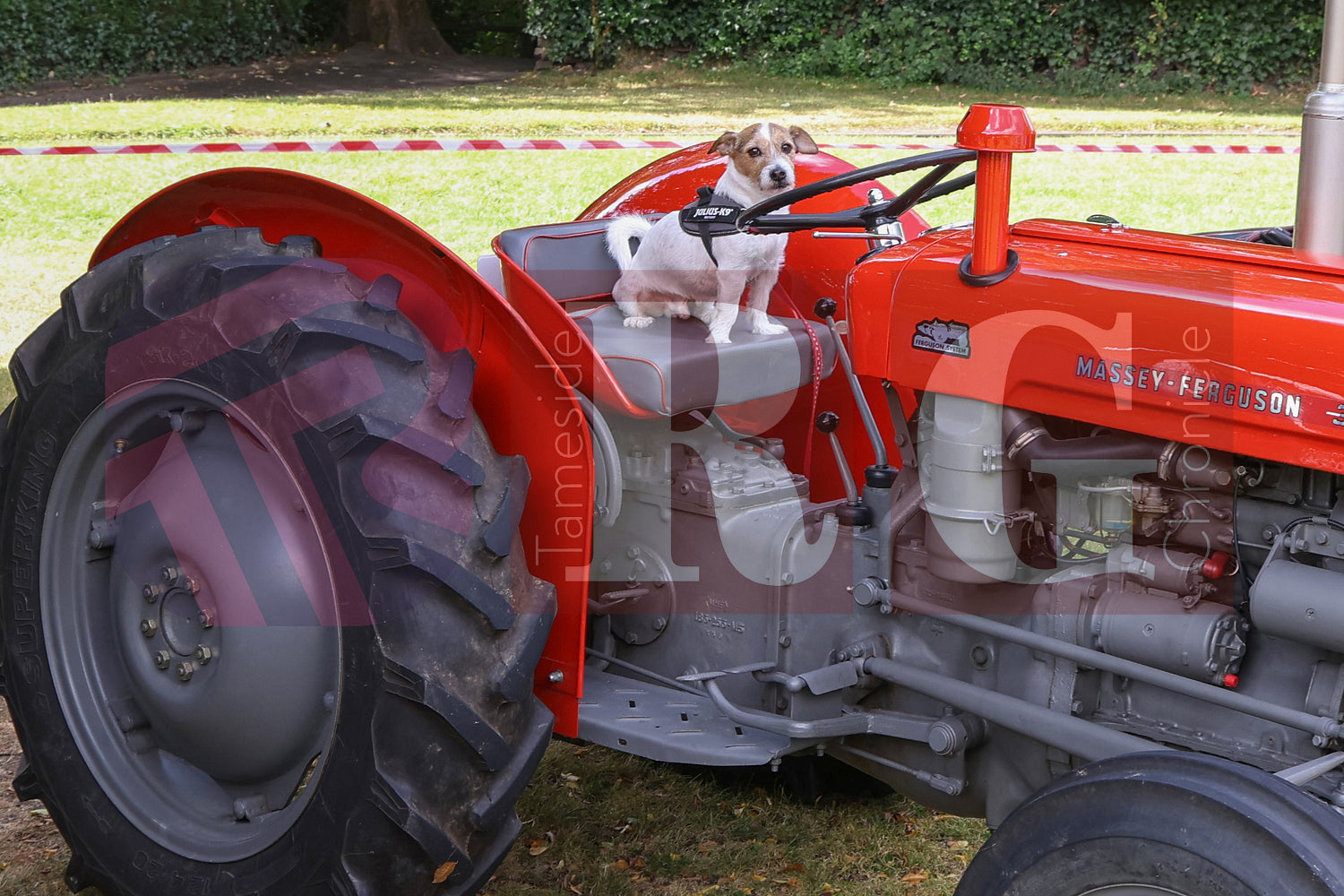 GLOSSOP CAR SHOW (110).JPG