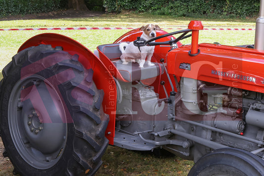 GLOSSOP CAR SHOW (110).JPG