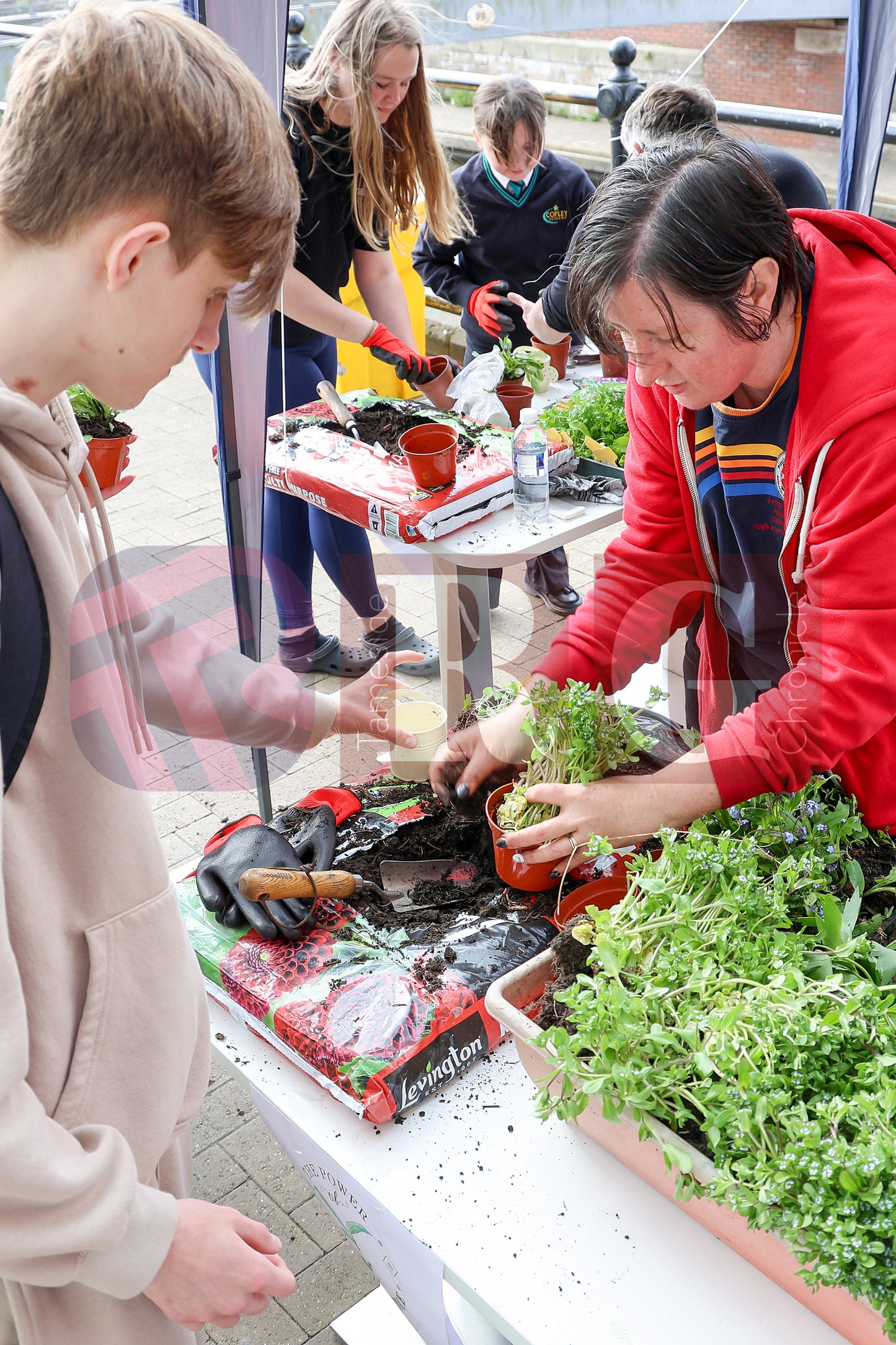 PLANT & SWAP EVENT TESCO STALYBRIDGE 2025 (16).JPG