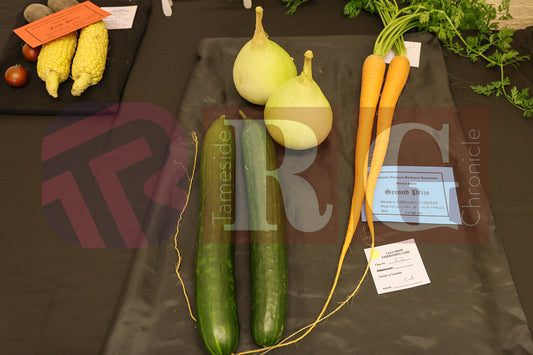 TINTWISTLE GARDENERS SHOW (29).JPG