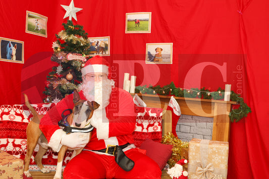 DOG TRUST DENTON XMAS (33).JPG