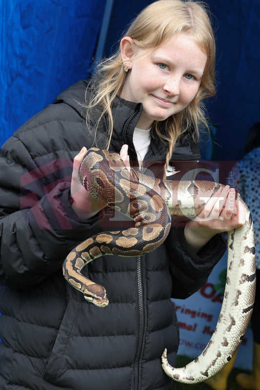 FESTIVAL ON THE GREEN 2025 (46).JPG