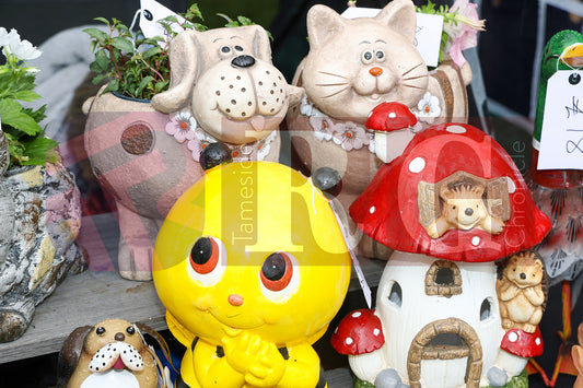 FESTIVAL ON THE GREEN 2025 (26).JPG