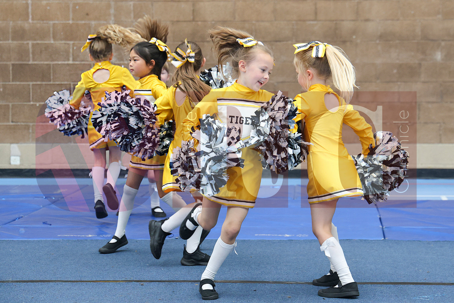 CHEERLEADING FESTIVAL ACTIVE COPLEY (58).JPG