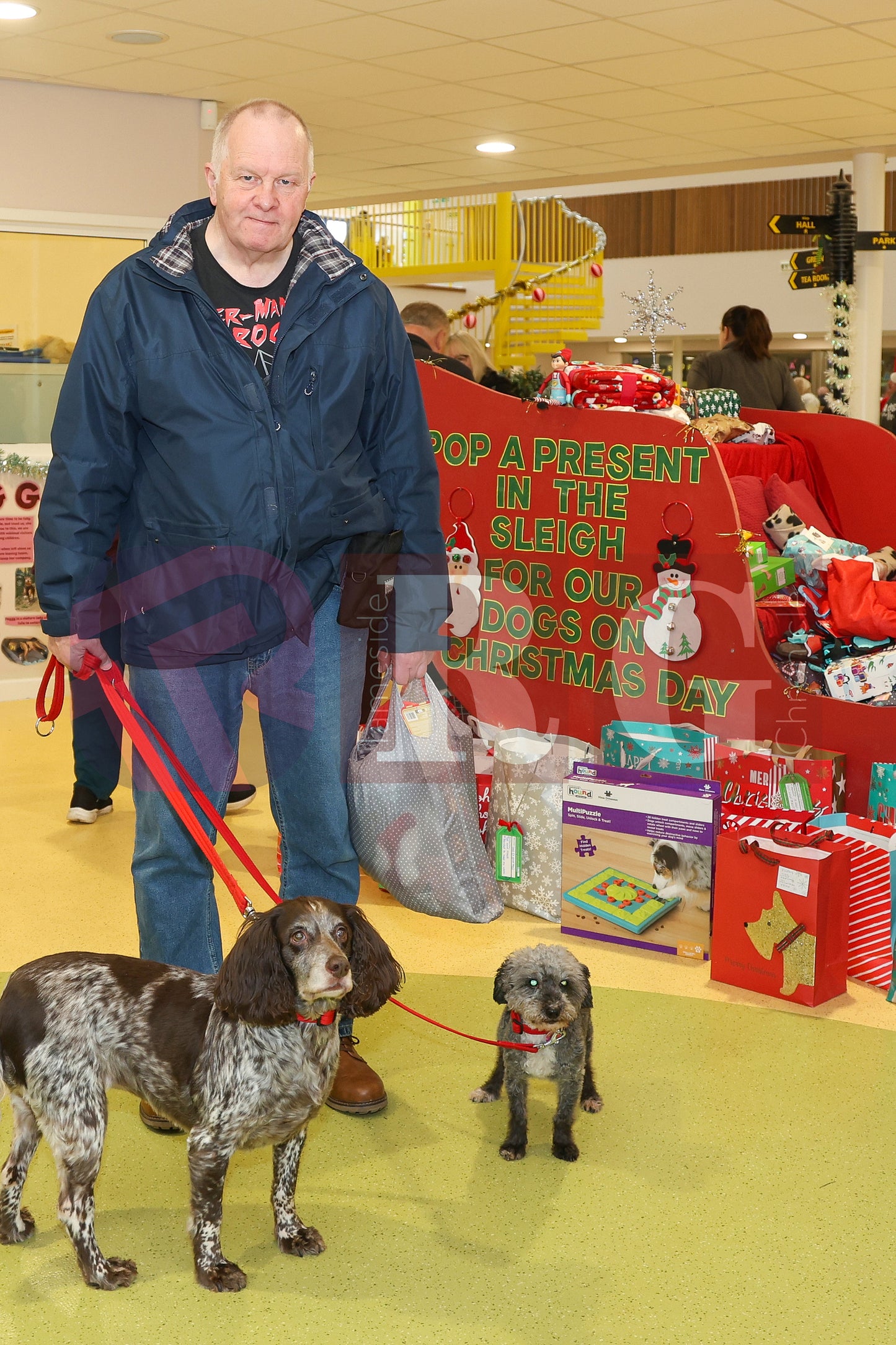 DOG TRUST DENTON XMAS (14).JPG