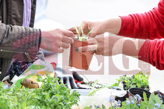 PLANT & SWAP EVENT TESCO STALYBRIDGE 2025 (6).JPG