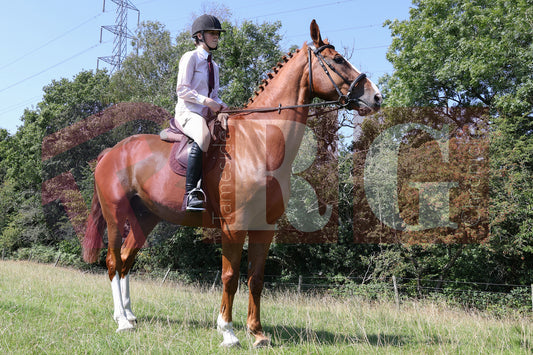 MOTTRAM SHOW  2025 (72).JPG