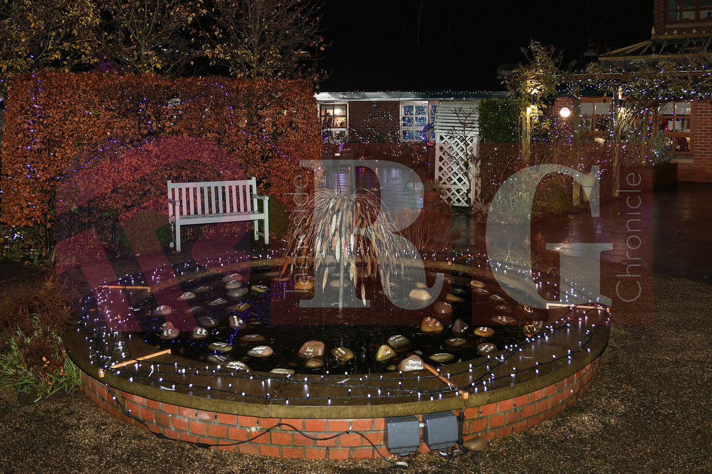 WILLOW WOOD LIGHTS 2024 (58).JPG