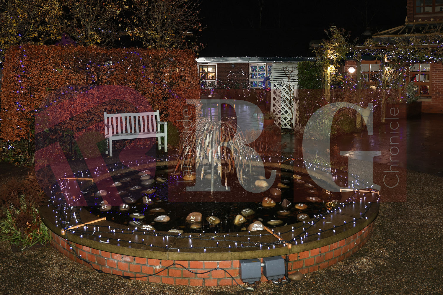 WILLOW WOOD LIGHTS 2024 (58).JPG