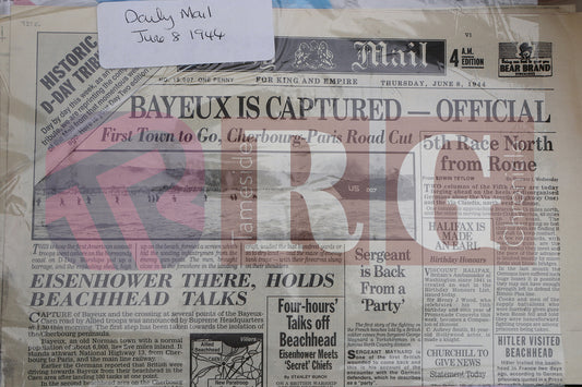 VE DAY THE COMMUNITY GARDEN DUKINFIELD (27).JPG