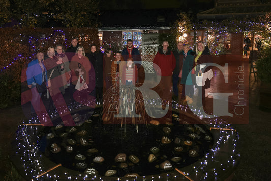 WILLOW WOOD LIGHTS 2024 (12).JPG