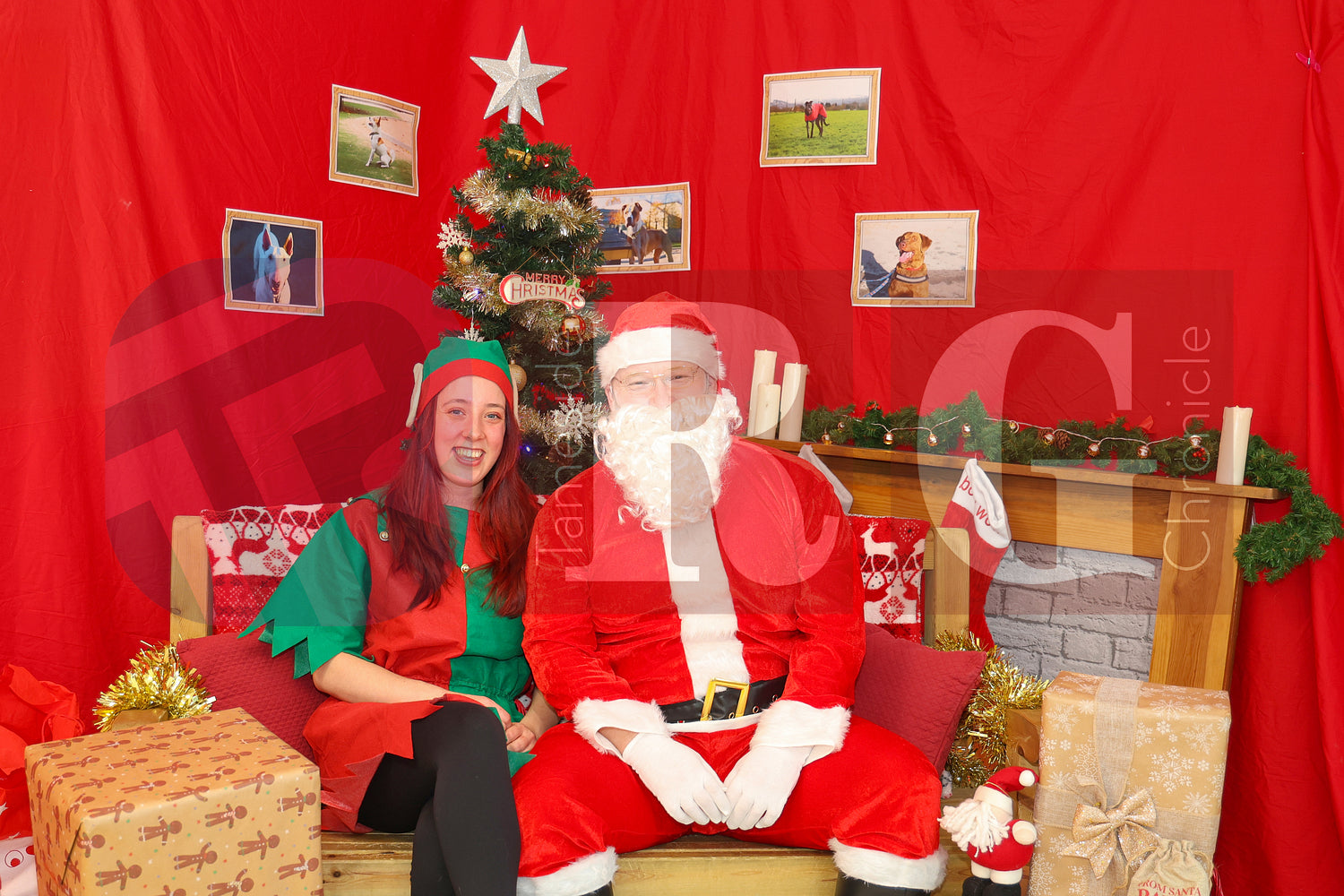 DOG TRUST DENTON XMAS (21).JPG