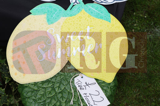 FESTIVAL ON THE GREEN 2025 (56).JPG