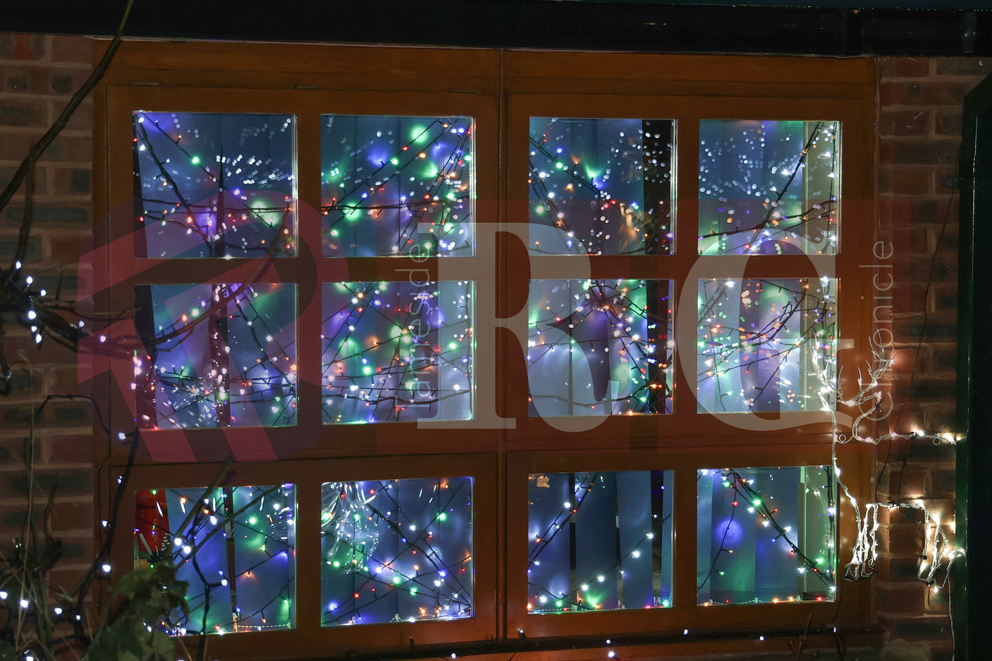 WILLOW WOOD LIGHTS 2024 (9).JPG