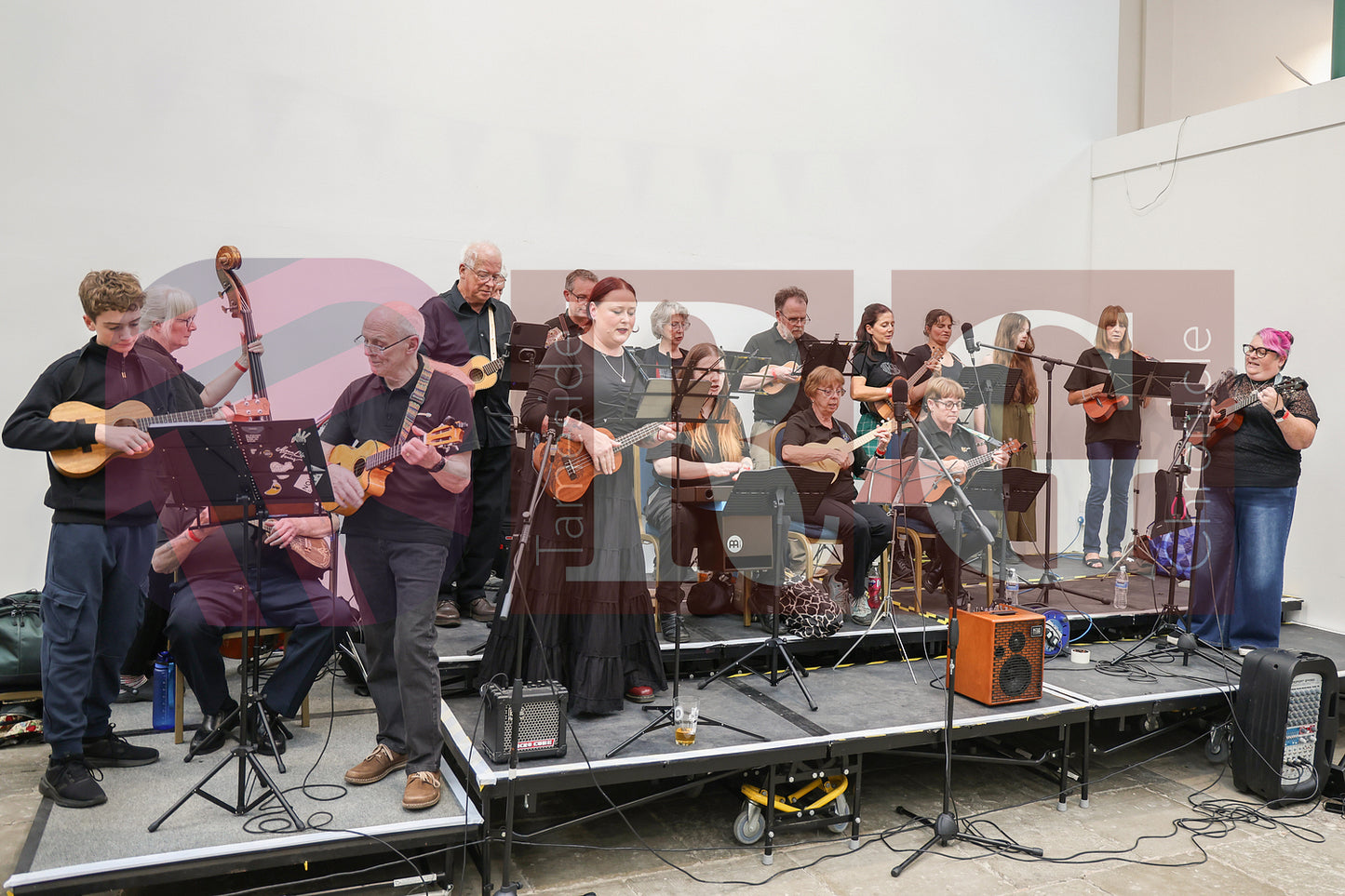 TAMESIDE BEER FESTIVAL 2025 (2).JPG