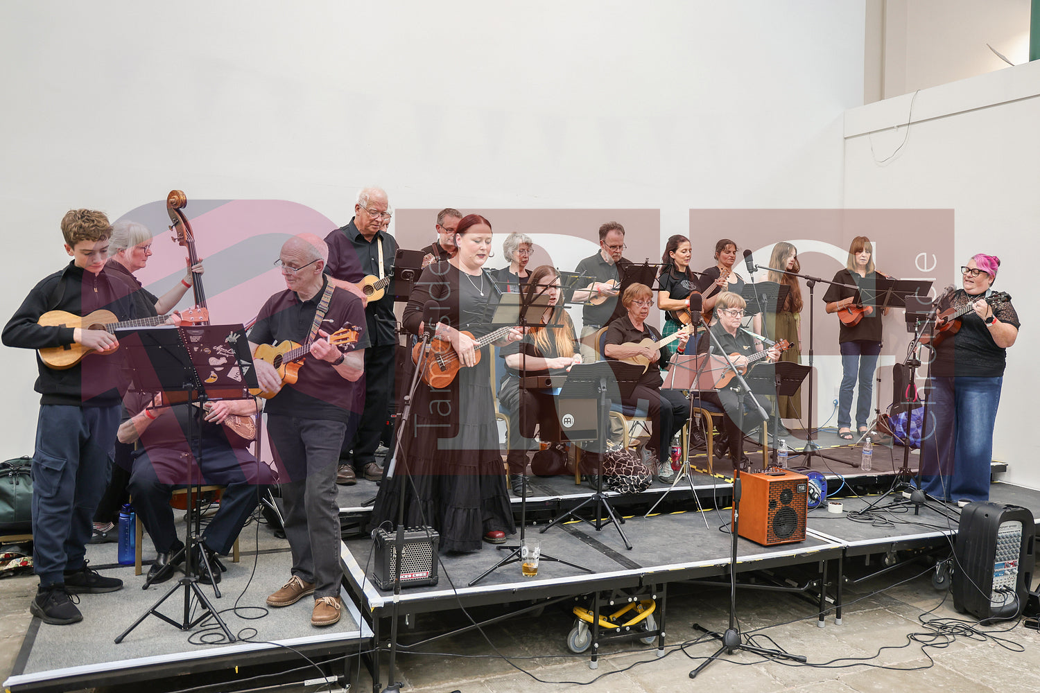 TAMESIDE BEER FESTIVAL 2025 (2).JPG