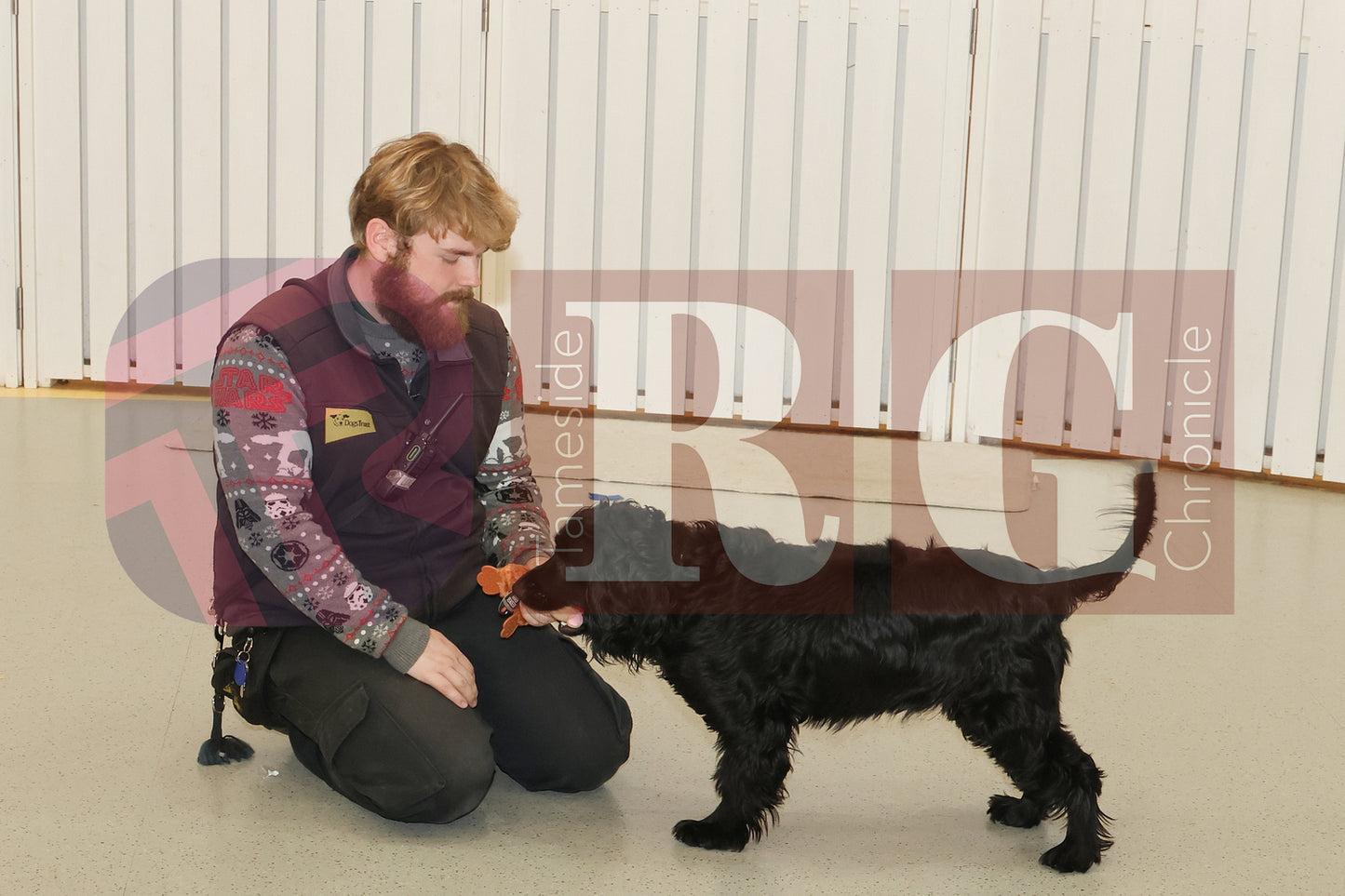 DOG TRUST DENTON JUMPER EVENT (27).JPG