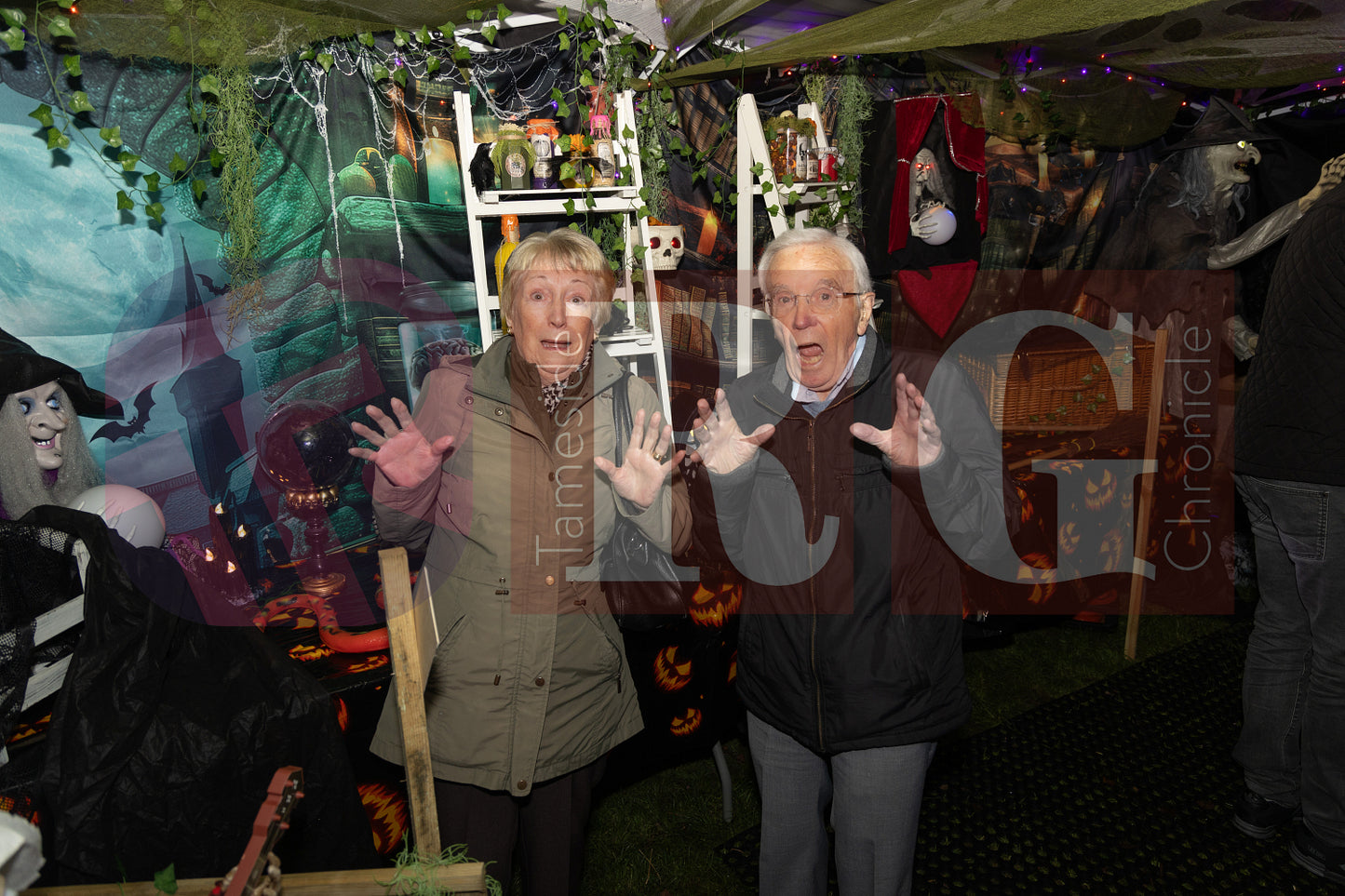 HALLOWEEN SYCAMORES HADFIELD GLOSSOP (82).JPG