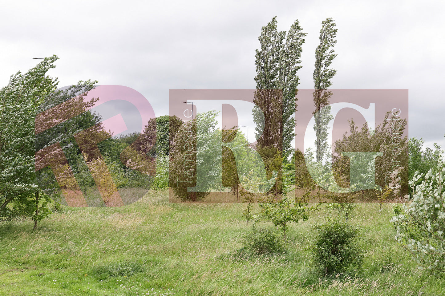 STALYBRIDGE CELETIC 50 YEARS (15).JPG