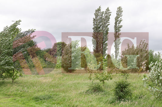 STALYBRIDGE CELETIC 50 YEARS (15).JPG