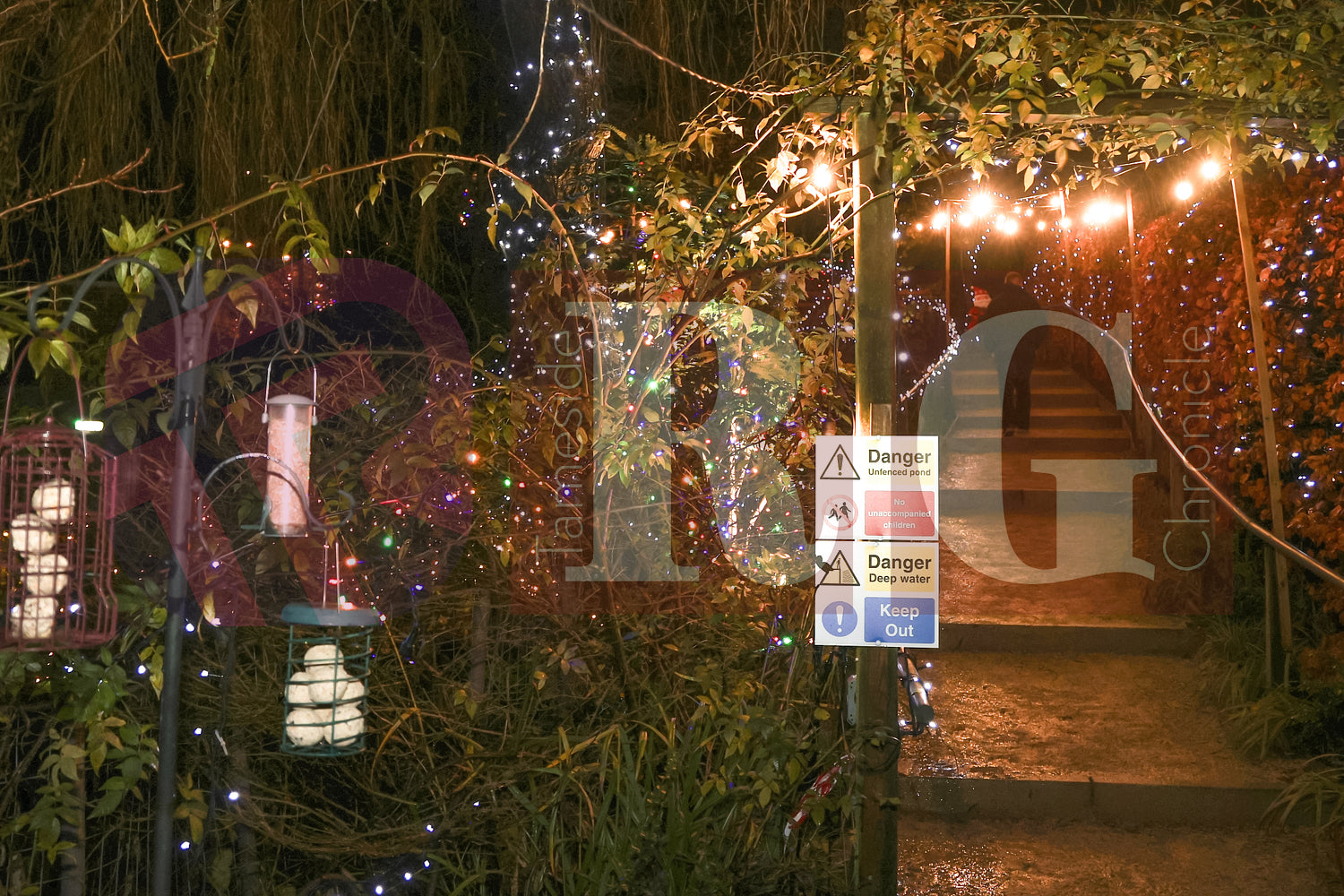 WILLOW WOOD LIGHTS 2024 (25).JPG