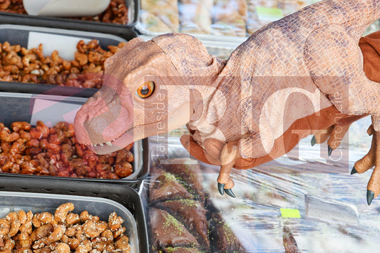 MOSSLEY FARMERS MARKET (97).JPG