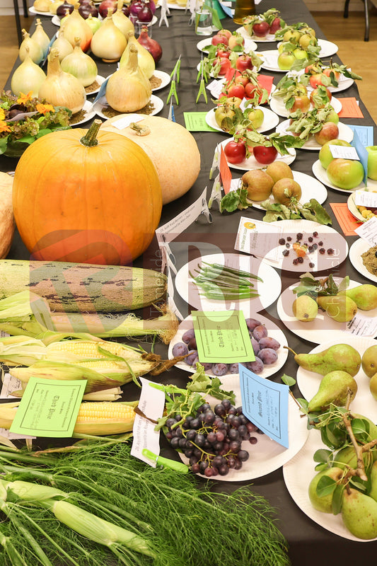 TINTWISTLE GARDENERS SHOW (41).JPG