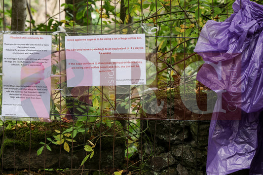 MOSSLEY LITTER PICK (31).JPG