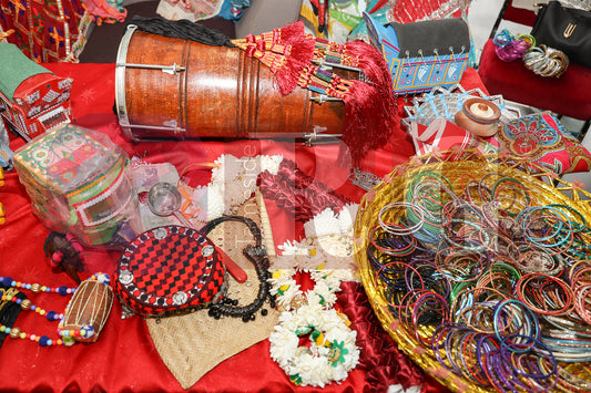 SOUTH ASIAN HERITAGE MONTH 2025 (28).JPG