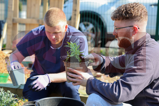 RIDGE HILL COMMUNITY GARDEN (1).JPG
