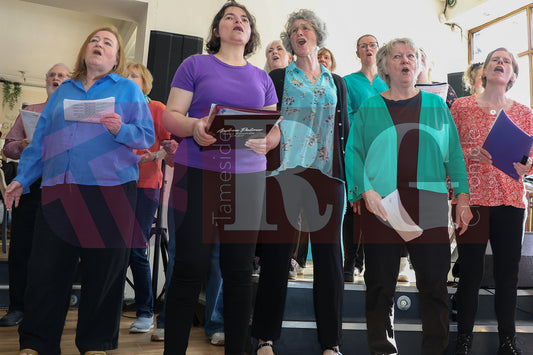 BRIDGE GOT TALENT AUDITIONS 2025 (17).JPG