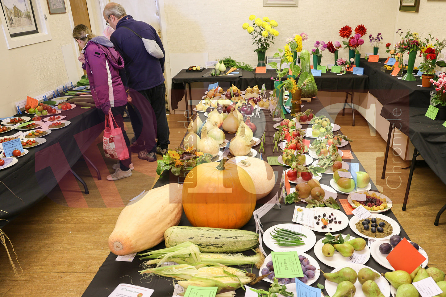 TINTWISTLE GARDENERS SHOW (36).JPG