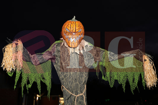 HALLOWEEN WATERLOO PARK (56).JPG