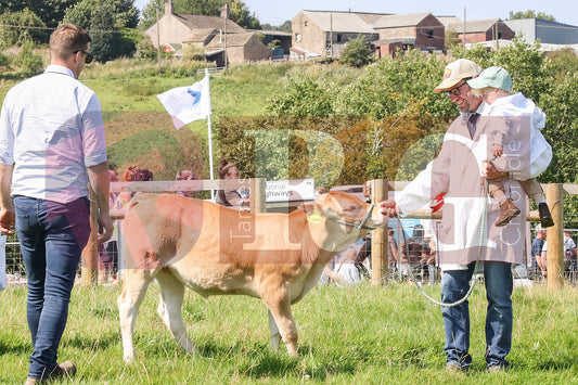 MOTTRAM SHOW  2025 (59).JPG