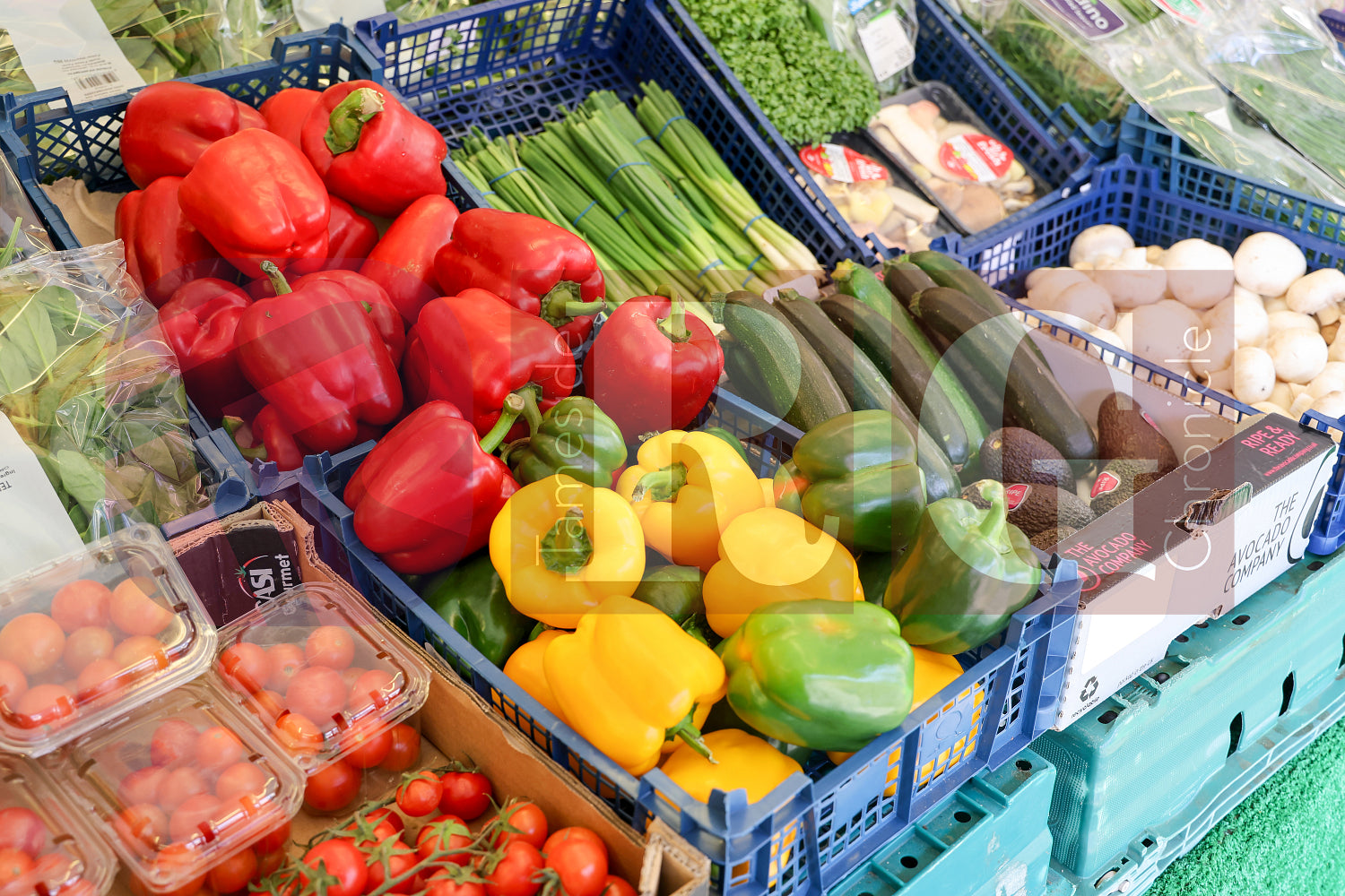 GLOSSOP MARKET 2025 (93).JPG
