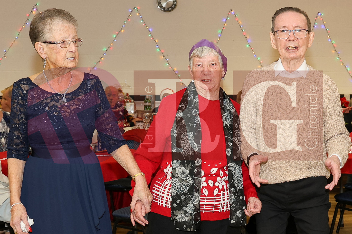 HATTERSLEY FORUM PENSIONERS PARTY 2025  (36).JPG