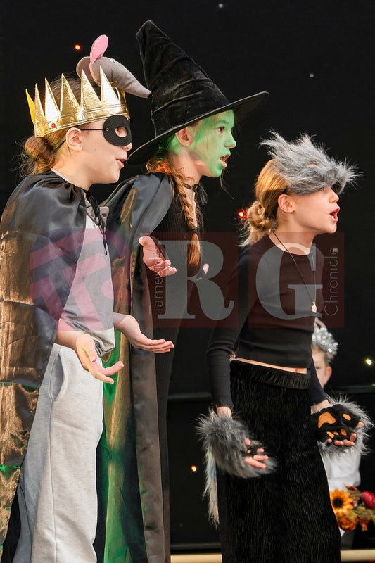 STALYBRIDGE CIVIC HALL SCHOOL PANTOMIME (32).JPG