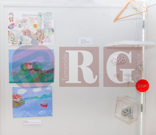 VICTORIA HALL ART GALLERY 2025 (18).JPG