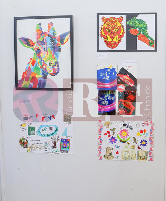 VICTORIA HALL ART GALLERY 2025 (7).JPG