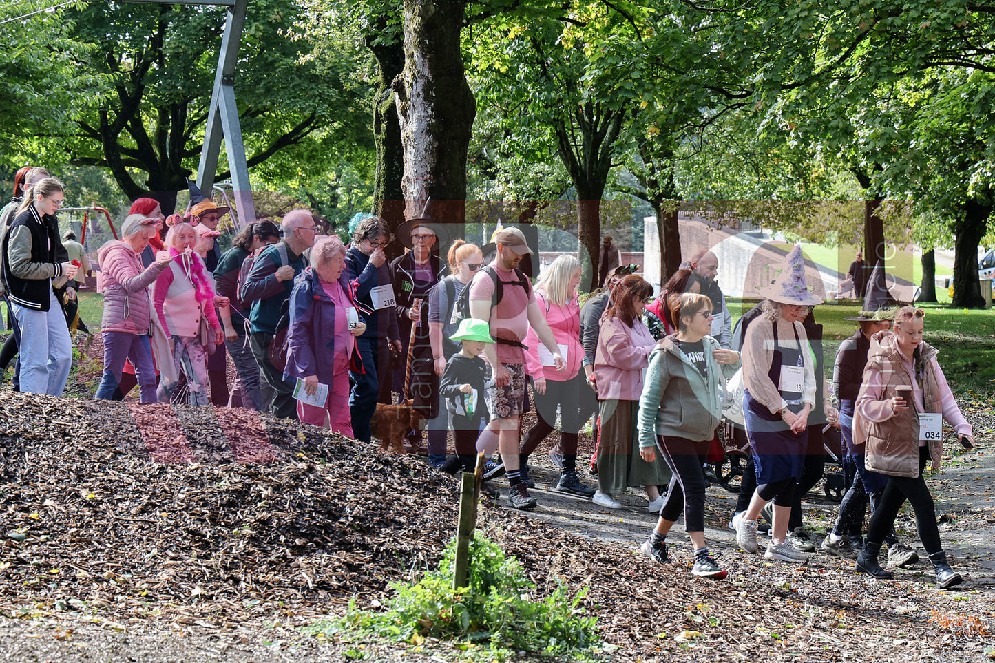 WILLOW WOOD WICKED WALK (73).JPG