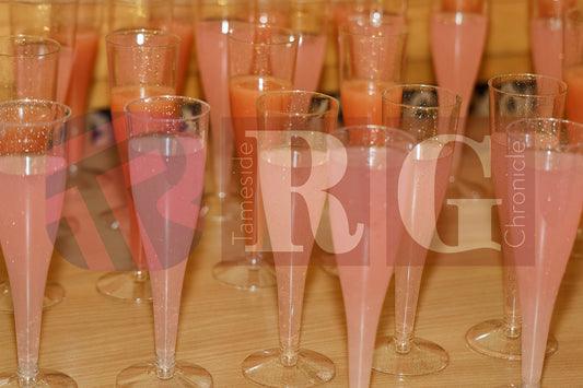 CIVIC MAYOR'S AFTERNOON TEA  (17).JPG